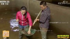 [ÿ��ũ��]��Ŀ�����㡱��Ŀ����ֳЧ���