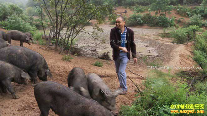 [�¸���]�������زܺ����������ڿ�����������ǧ��Ƹ�