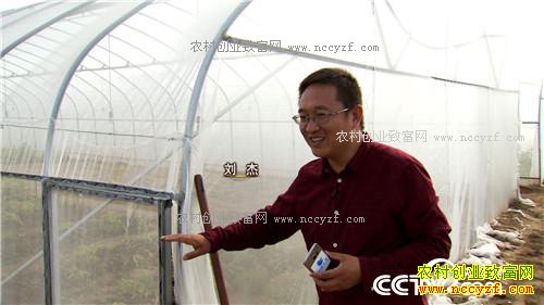 �¸����������ڳ��𵰵� һ������2000��20171011��