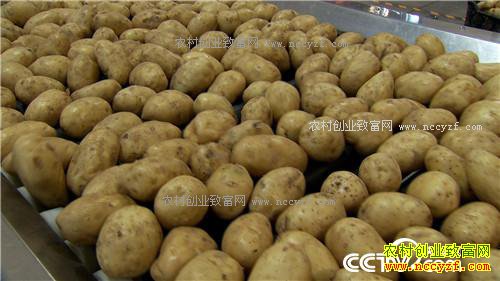 �¸����������ڳ��𵰵� һ������2000��20171011��