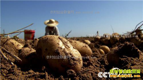 �¸����������ڳ��𵰵� һ������2000��20171011��