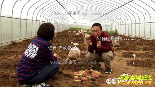 �¸����������ڳ��𵰵� һ������2000��20171011��