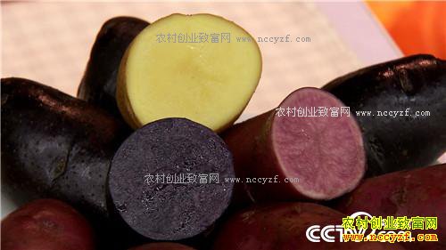 �¸����������ڳ��𵰵� һ������2000��20171011��