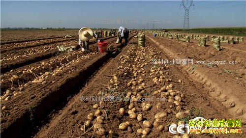 �¸����������ڳ��𵰵� һ������2000��20171011��