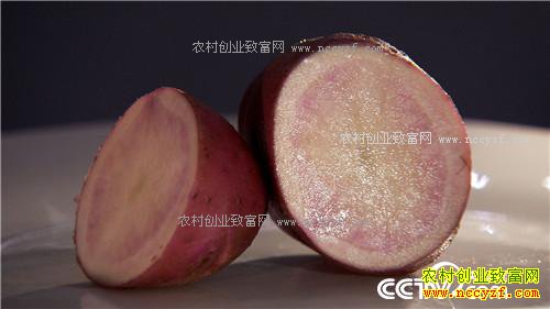 �¸����������ڳ��𵰵� һ������2000��20171011��