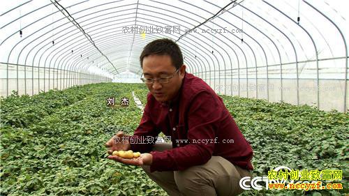 �¸����������ڳ��𵰵� һ������2000��20171011��