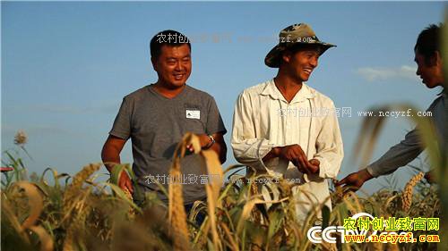 [�¸���]С���Ϻ����Ÿ� һ��ɳ�2000�� 20171012