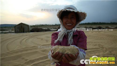 �¸�����С����Ϻ����Ÿ� һ��ɳ�2000��(20171012)