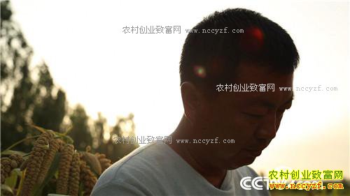 �¸�����С����Ϻ����Ÿ� һ��ɳ�2000��(20171012)