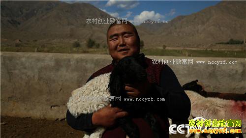 [�¸���]С���Ϻ����Ÿ� һ��ɳ�2000�� 20171012