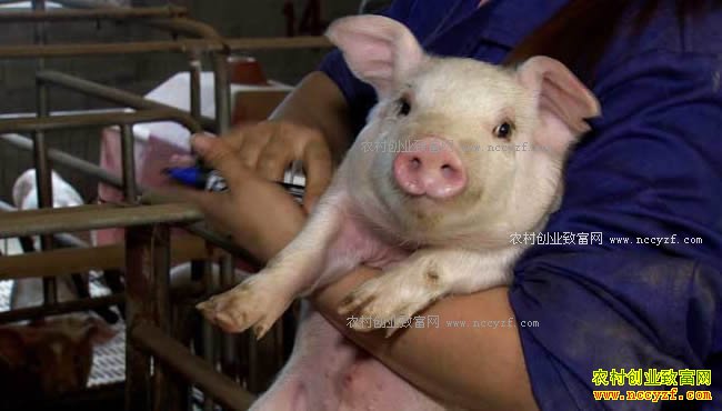 [�¸���]�½���˶�س�ѧ���ֹ���һ��ɳ�2000��