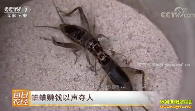 [ÿ��ũ��]����׬Ǯ�������� 20171012