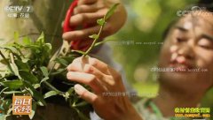 [ÿ��ũ��]���ݴӽ��أ��������ϵ�ʯ���е�����