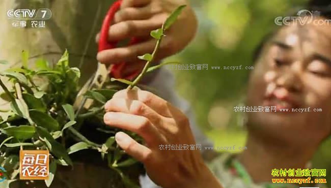 [ÿ��ũ��]�������ϵ�ʯ���е����� 20171013