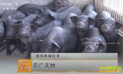 [ũ�����]������ֳ������Ƶ