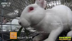 [ũ�����]���������������̡������ǧ��Ԫ