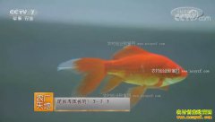 [ũ�����]�ݽ��������ֳ������Ƶ