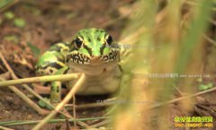 [�¸���]����С����Т����������׬ǧ��