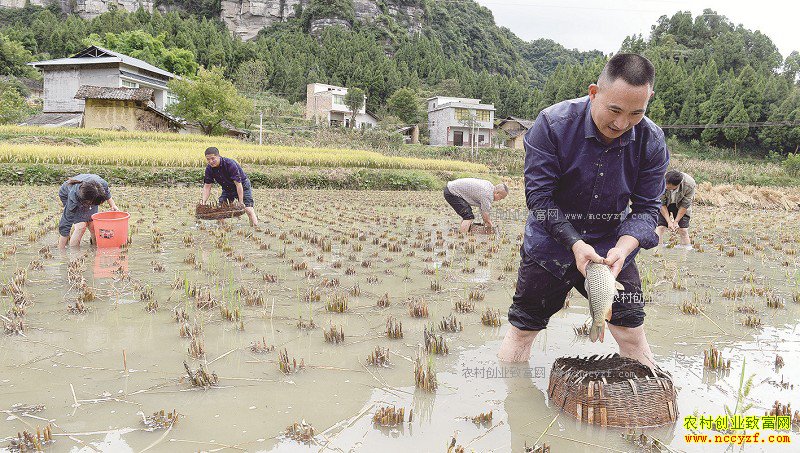 �Ĵ����������壺���������ũ���¸�����Ŀ