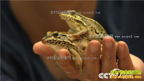 �¸������ھ���������� ��׬ǧ��(20171018)