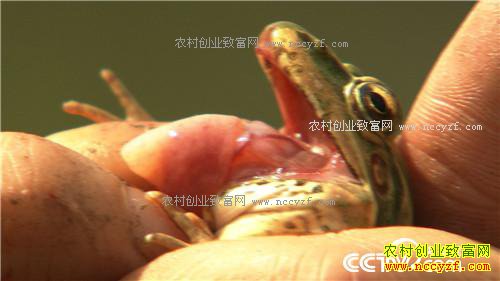 �¸������ھ���������� ��׬ǧ��(20171018)