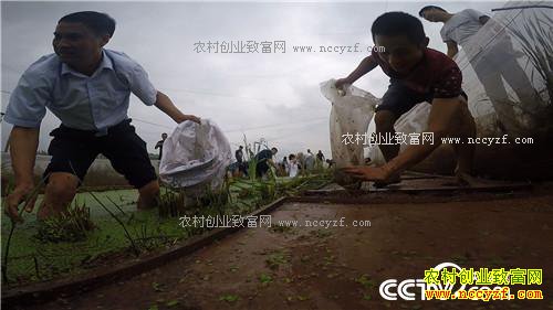 �¸������ھ���������� ��׬ǧ��(20171018)