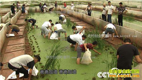 �¸������ھ���������� ��׬ǧ��(20171018)