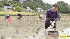 �Ĵ����������壺���������ũ���¸�����Ŀ