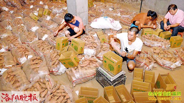 �����°����ٷ濪���������ز�Ϊũ��Ʒ�ҵ��ȶ���·