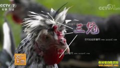 [ũ�����]�㶫���������ı�˼·�����¸�