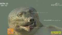 [ũ�����]ɽ������չ�����ֳ�ƺӱ�����ĲƸ�