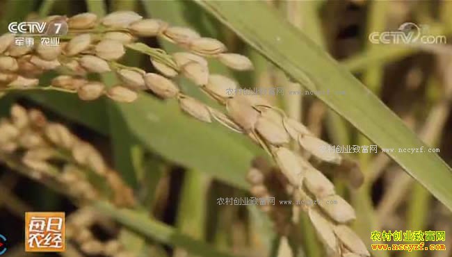 [ÿ��ũ��]ˮ��׬Ǯ���и��� 20171023