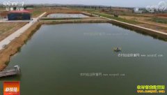 [�Ƽ�Է]���ྰ̩�أ��μ�ˮ����ϺЧ���