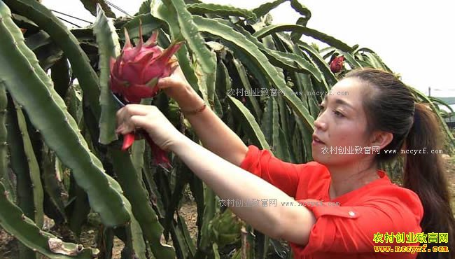 [�¸���]�����ն�κҦ���Ѿ�ծ�ֻ�����׬ȡ����Ƹ�