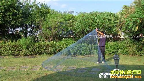 �¸�����ɵ������ ����׬Ǯ(20171024)