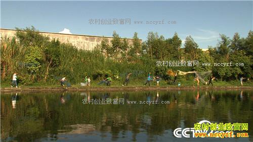 �¸�����ɵ������ ����׬Ǯ(20171024)