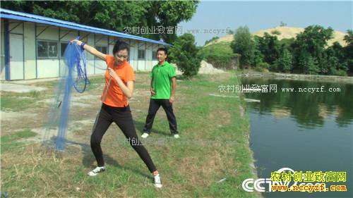 �¸�����ɵ������ ����׬Ǯ(20171024)