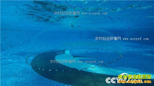 �¸�����ɵ������ ����׬Ǯ(20171024)