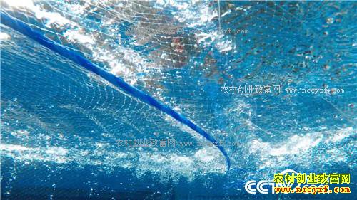 �¸�����ɵ������ ����׬Ǯ(20171024)