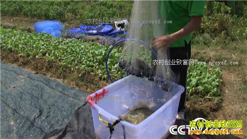 �¸�����ɵ������ ����׬Ǯ(20171024)