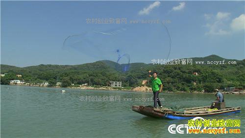 �¸�����ɵ������ ����׬Ǯ(20171024)