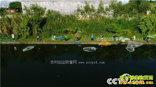 �¸�����ɵ������ ����׬Ǯ(20171024)