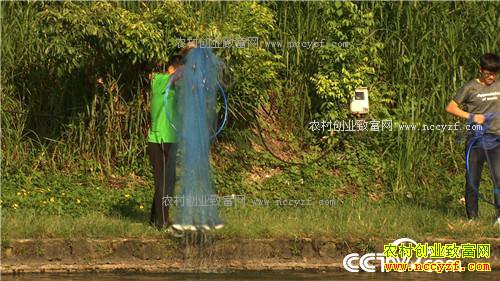 �¸�����ɵ������ ����׬Ǯ(20171024)