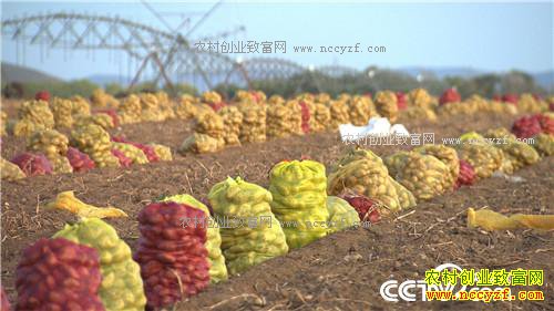 �¸�������������� �ؼ��Ϳ������(20171025)