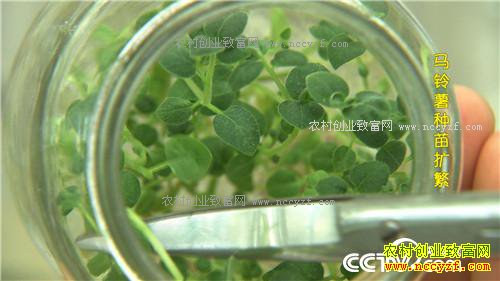 �¸�������������� �ؼ��Ϳ������(20171025)