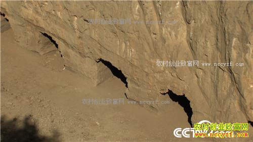 �¸��������Ŀ�Ұ�Ƹ�(20171026)