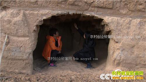 �¸��������Ŀ�Ұ�Ƹ�(20171026)