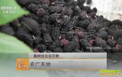 [ũ�����]�ӱ���ͷ���ϼ��ֲ��ɣ���������Ƹ�