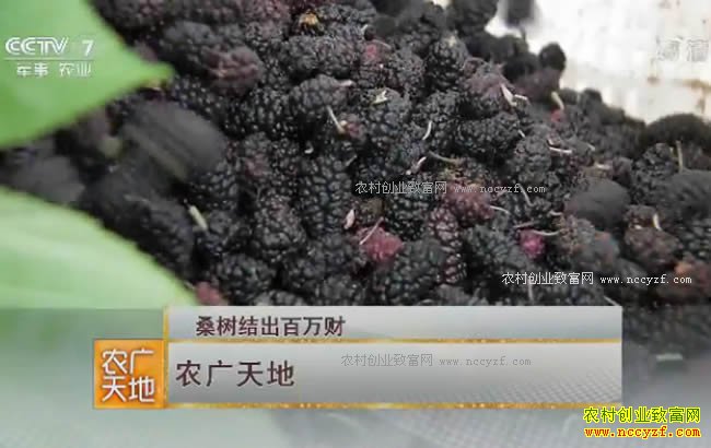 [ũ�����]ɣ���������� 20171026