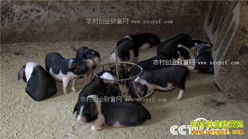 �¸������ó�����׬Ǯ�� ����һ��һ����(20171027)